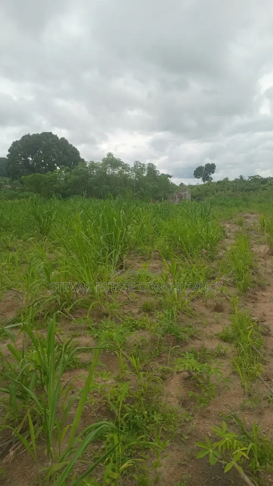 Plots of Land Available for Sale at Kasoa Adawukwa