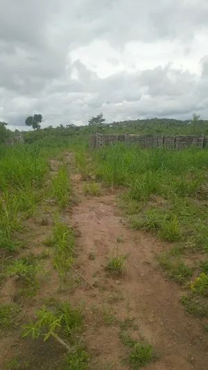 Alpha Properties Estate Land for Sale at Nsawam Ayibontey