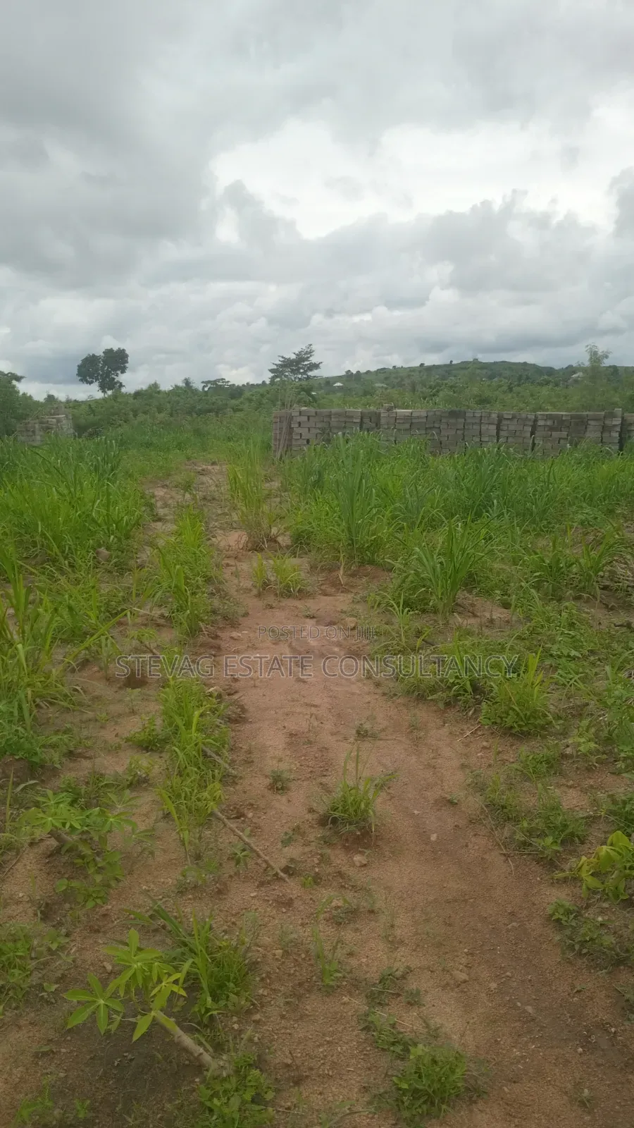 Alpha Properties Estate Land for Sale at Nsawam Ayibontey