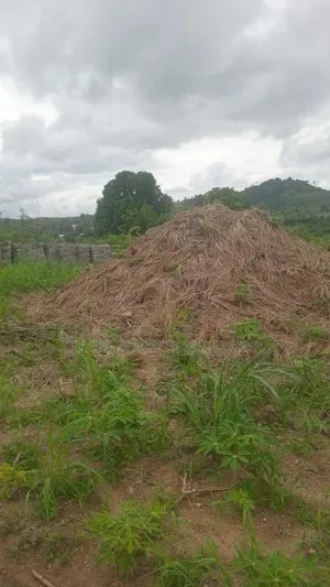 Alpha Properties Estate Land for Sale at Nsawam Ayibontey