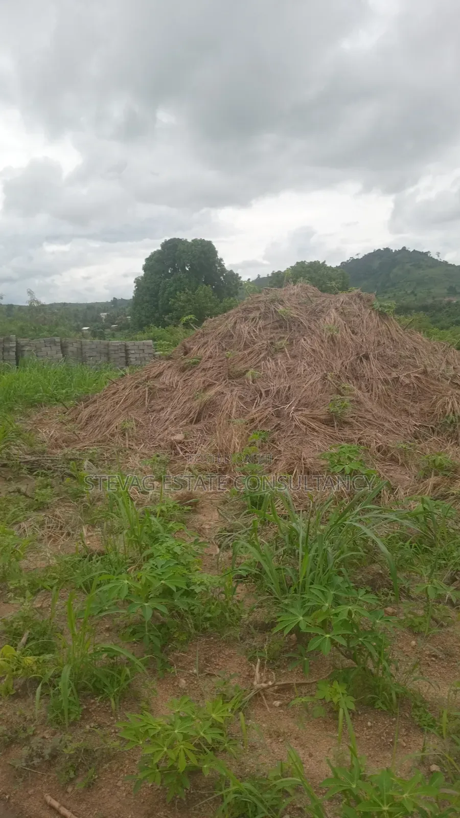 Alpha Properties Estate Land for Sale at Nsawam Ayibontey