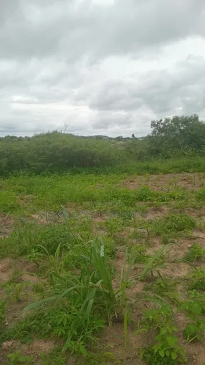 Alpha Properties Estate Land for Sale at Nsawam Ayibontey