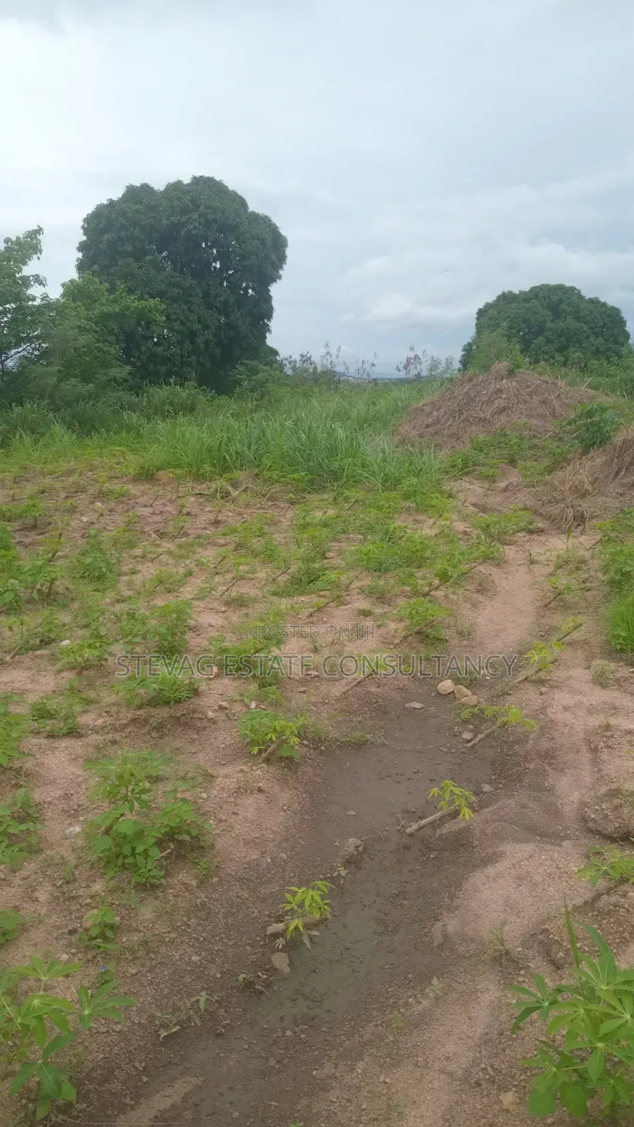 Alpha Properties Estate Land for Sale at Nsawam Ayibontey