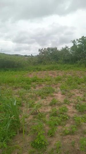 Alpha Properties Estate Land for Sale at Nsawam Ayibontey