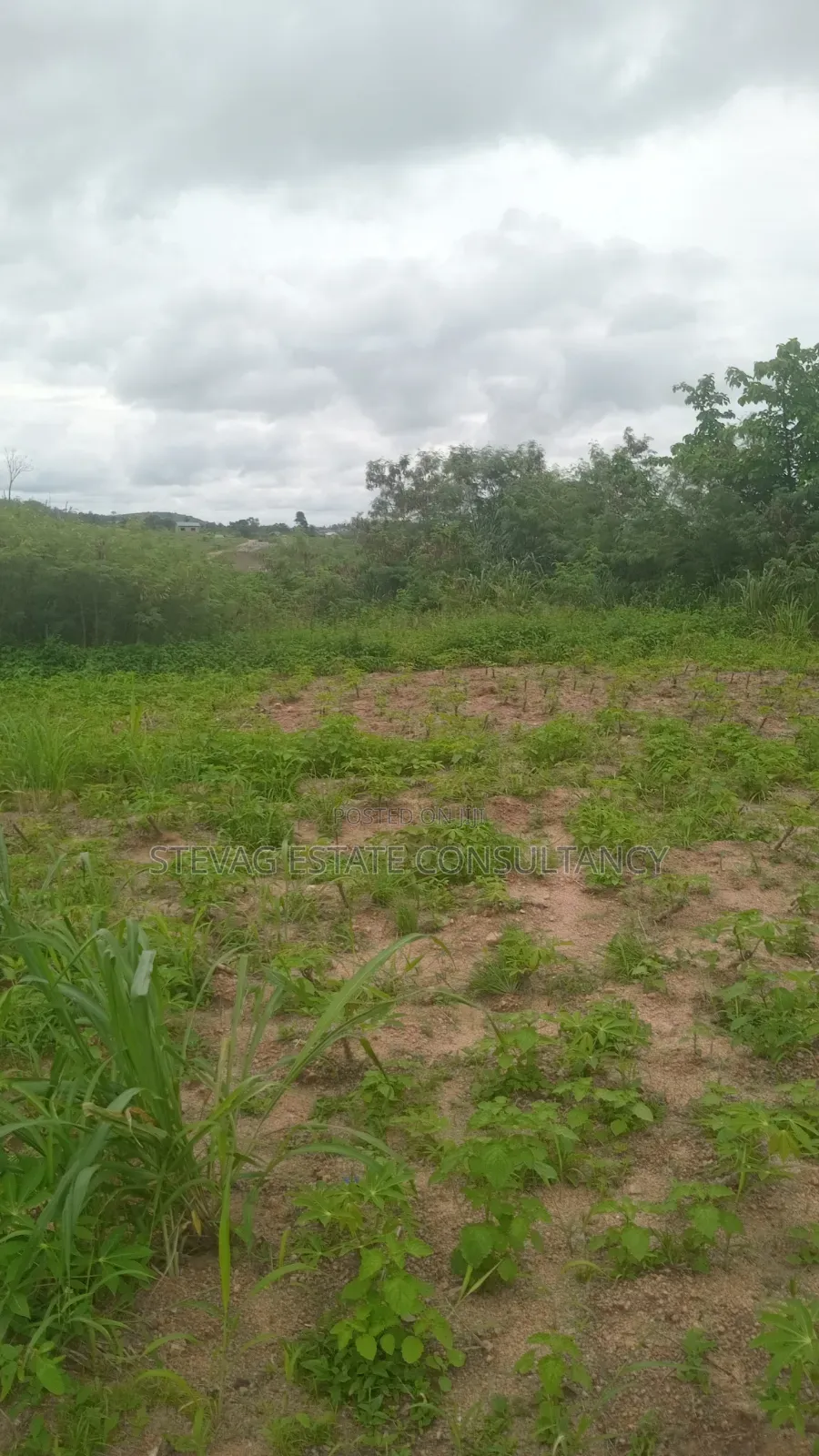 Alpha Properties Estate Land for Sale at Nsawam Ayibontey