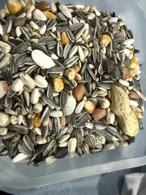 Parrot Feed