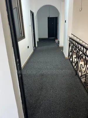 Gray Woolen Carpets for Corridor, Offices, Rooms and Floors