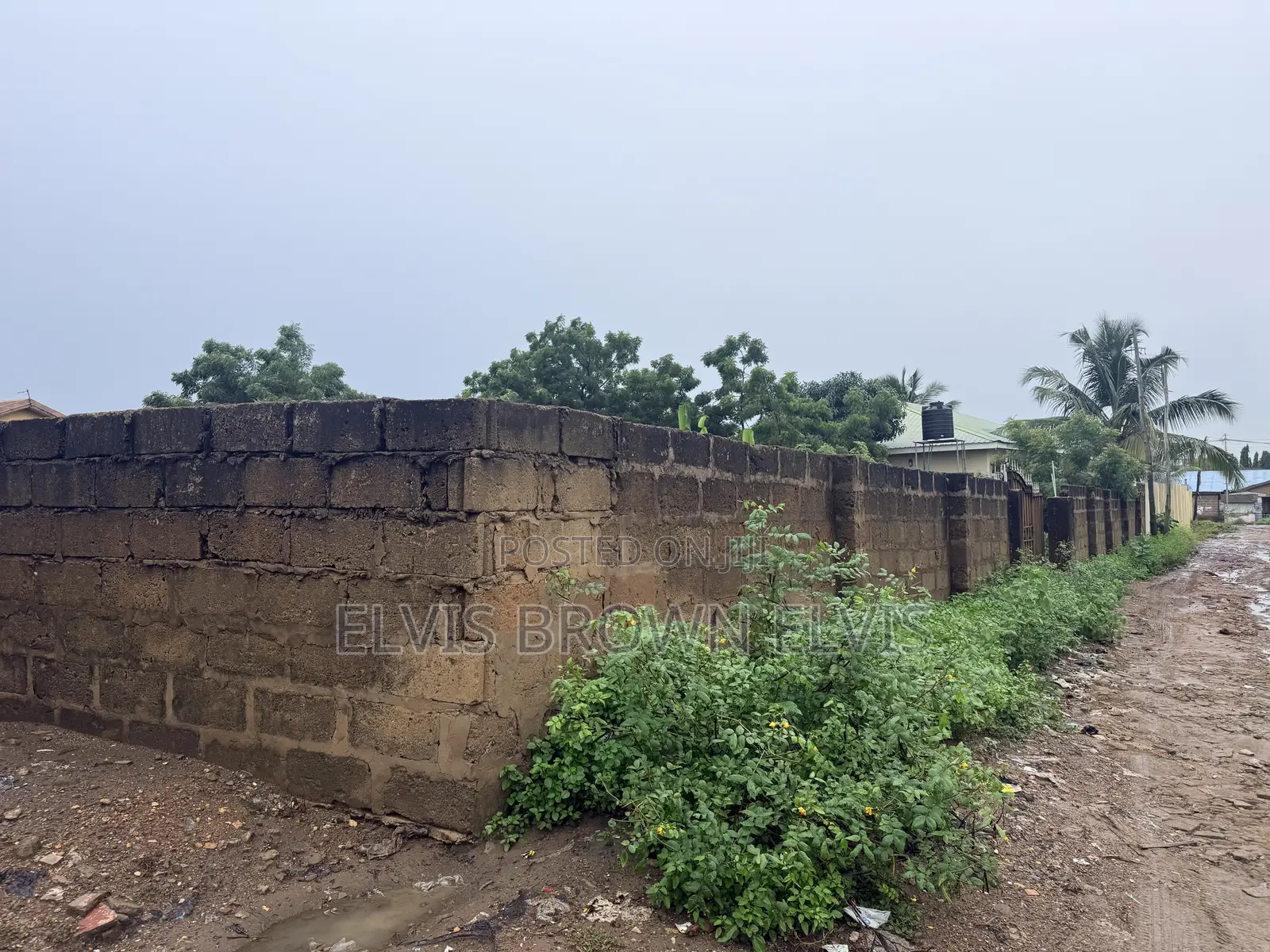Do You Want to Buy a Plot of Land for Sale at Teshie Bush Road