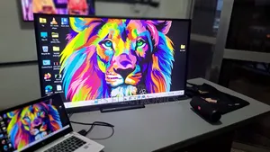 Dell 43 Inch Uhd Monitor