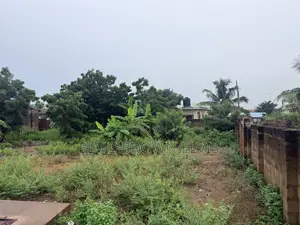 50 by 100 Size of Land for Sale at Teshie Bushroad Very Nice Location