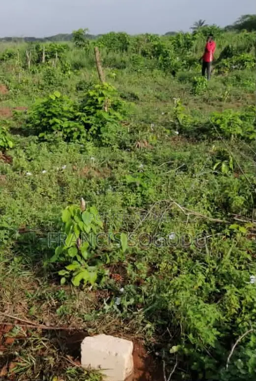 Land for Sale