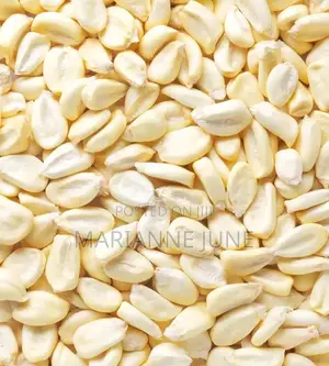 Yellow Corn