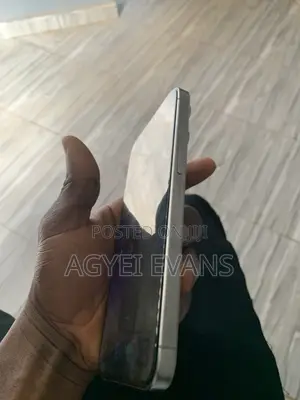 Apple iPhone 15 Pro Max 256 GB Silver