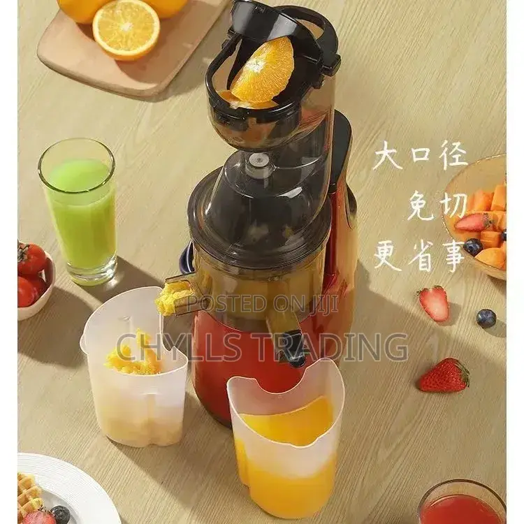 Slow Juicer