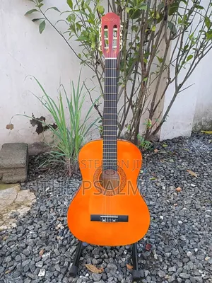 Golden Ton FSC Wooden Guitar 3/4 Size