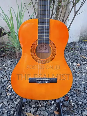 Golden Ton FSC Wooden Guitar 3/4 Size