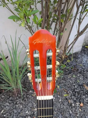 Golden Ton FSC Wooden Guitar 3/4 Size