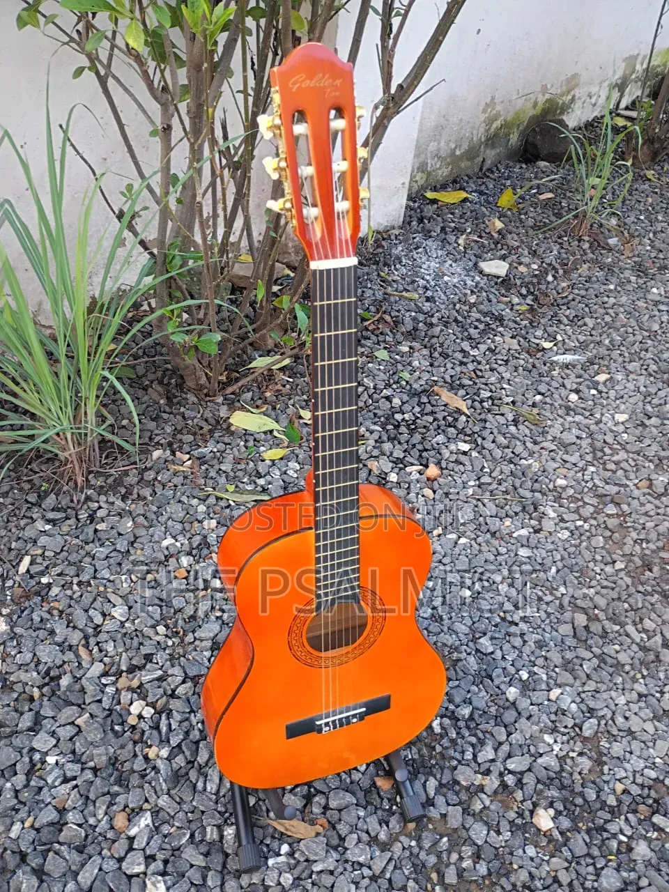 Golden Ton FSC Wooden Guitar 3/4 Size