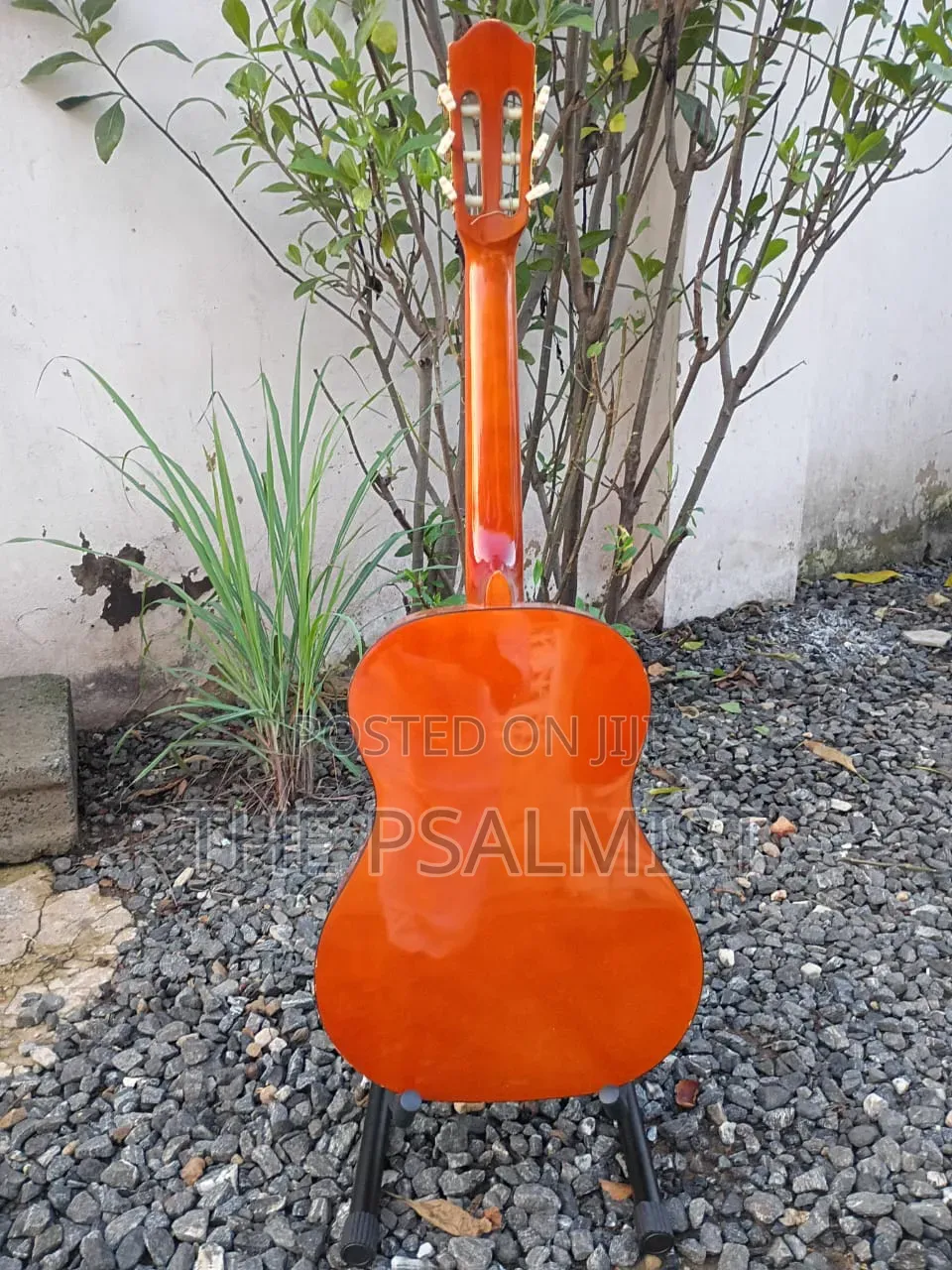 Golden Ton FSC Wooden Guitar 3/4 Size