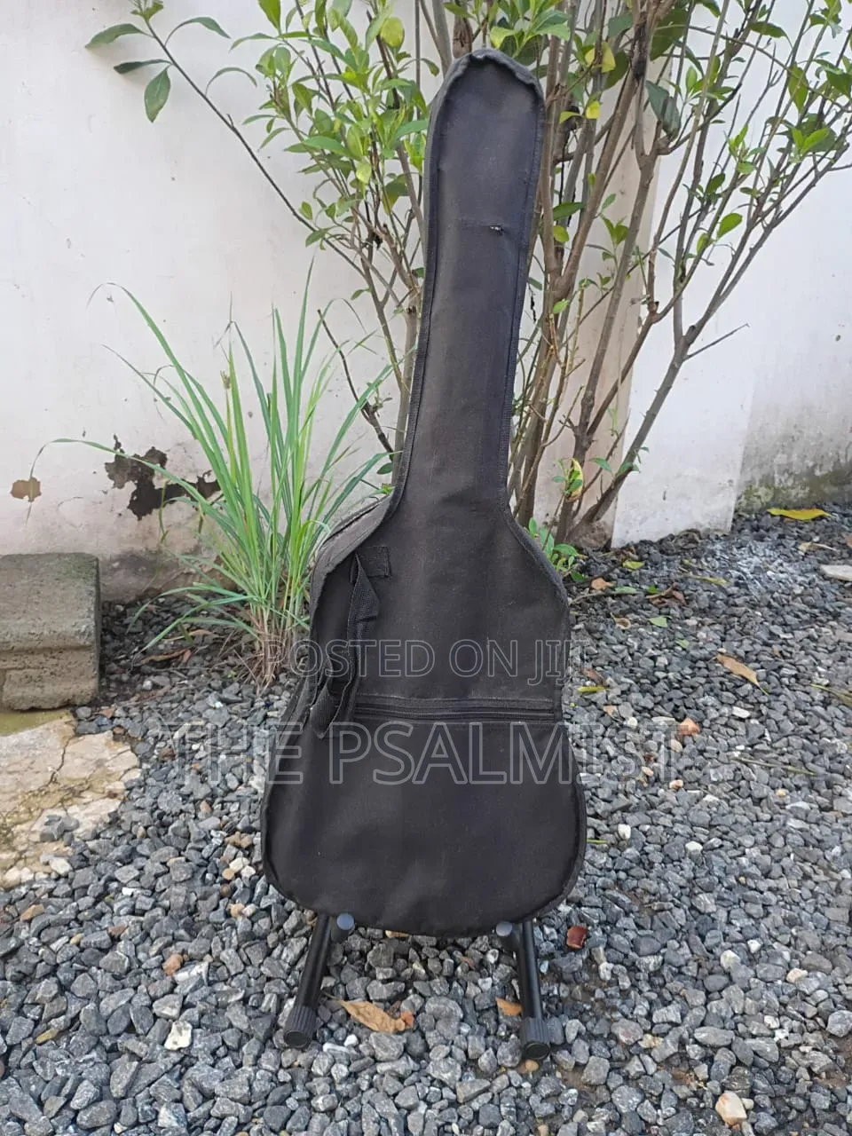 Golden Ton FSC Wooden Guitar 3/4 Size