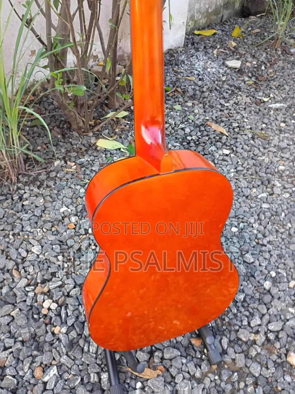 Golden Ton FSC Wooden Guitar 3/4 Size