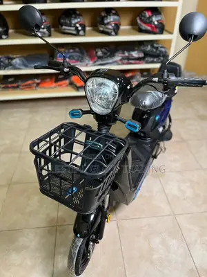 Evestar Electric Scooter E-Bike | Dual Seat With Storage Basket