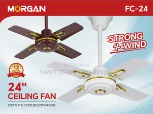 24 Inch Ceiling Fan