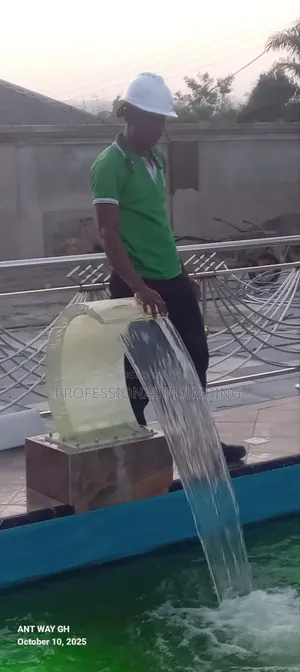 Swimming Pool Plumber