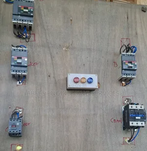 Professional Electrician