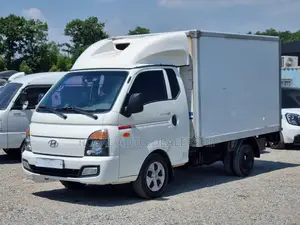 Hyundai Porter2 Freezer Box | 2018 Model