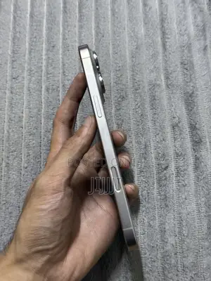 Apple iPhone 16 Pro Max 256 GB Silver