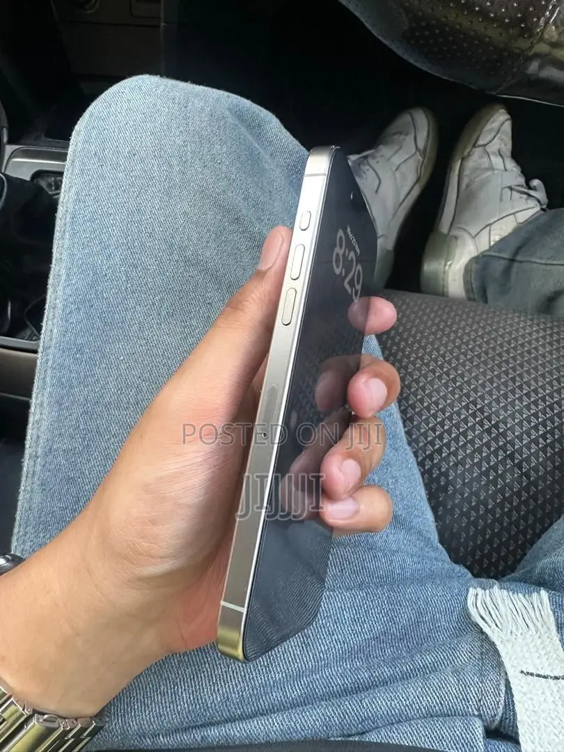 Apple iPhone 15 Pro Max 256 GB Silver