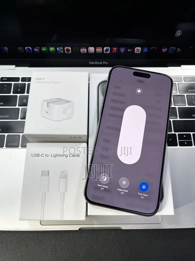 Apple iPhone 15 Pro Max 256 GB Silver