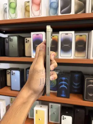 Apple iPhone 15 Pro Max 256 GB Silver