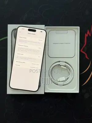 Apple iPhone 15 Pro Max 256 GB Silver