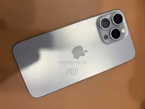 Apple iPhone 15 Pro Max 256 GB Silver