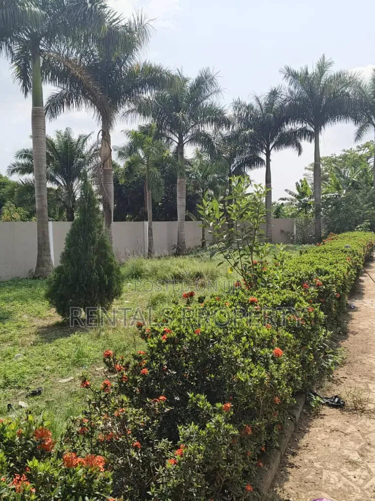 1bdrm Apartment in Sasaabi for rent