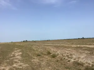 -- Tsopoli Full Plots-- (Estate Full Plots)