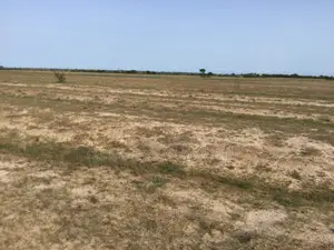 -tsopoli Genuine -full Plots - (Well-demarcated)