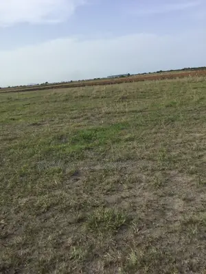 Full Plots - Tsopoli Airport City (Estate - Lands) 