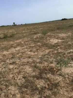 Genuine (Tsopoli Airport) City Estate Full Plots !