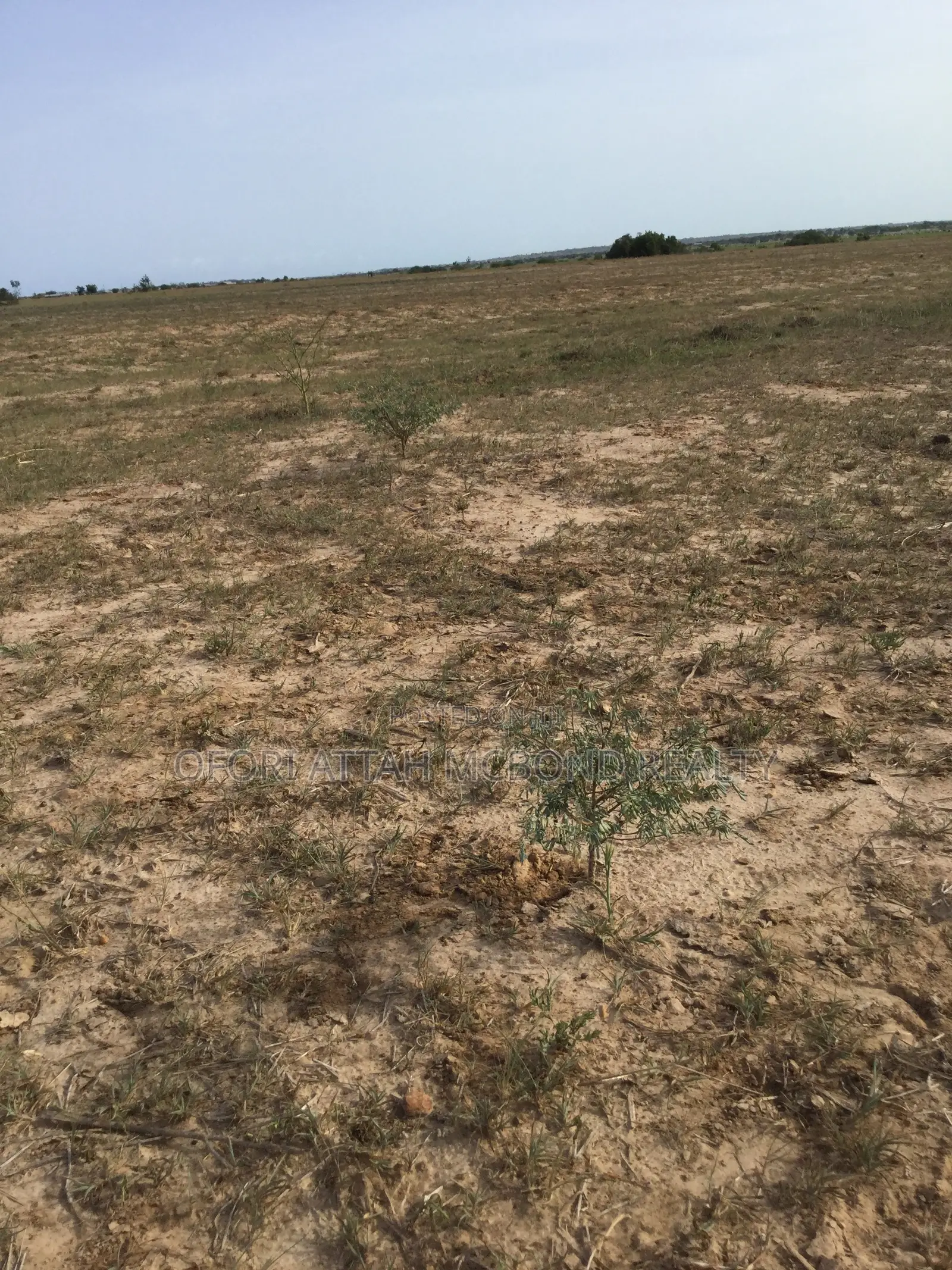 Genuine (Tsopoli Airport) City Estate Full Plots !
