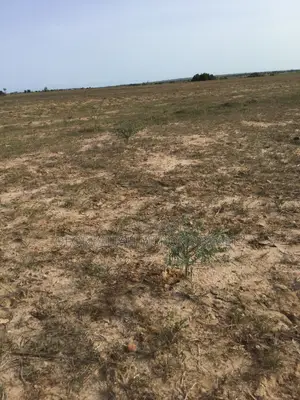 Genuine (Tsopoli Airport) City Estate Full Plots !