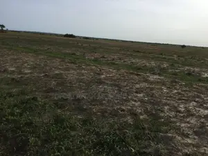 Secure Your Plots Now!! Tsopoli Airport City