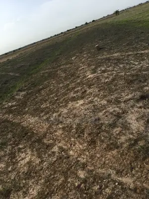 Land Available at Tsopoli (Prampram Airport City)