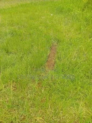 Full Plot of Land at Mfensi