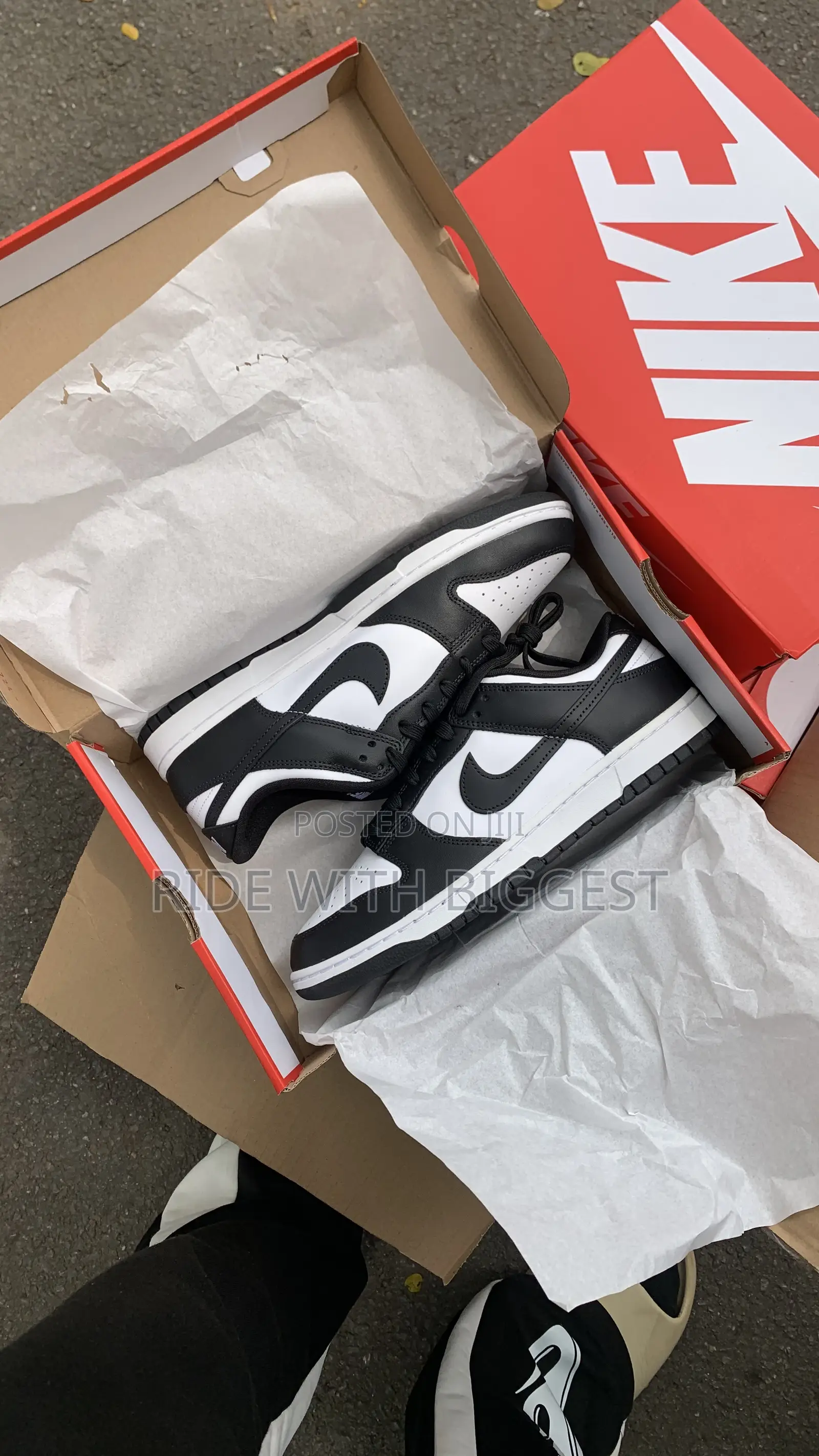 Nike Sb Low Dunk Two for ¢450