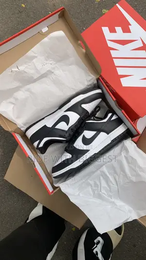 Nike Sb Low Dunk Two for ¢450