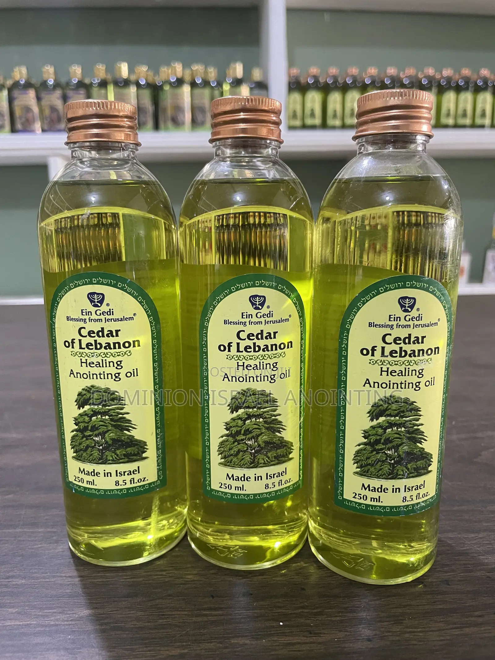 Cedar of Lebanon