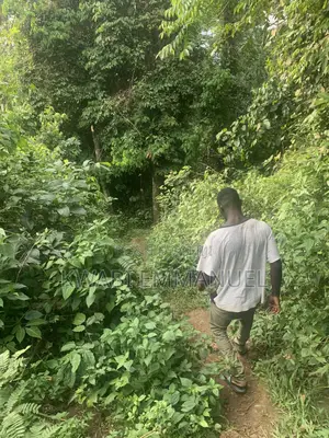 Land for Sale at Abuakwa Road Asampanay3